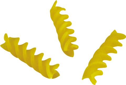 [0266] FUSILLI IGP
